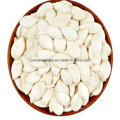 Shine Skin Pumpkin Seeds